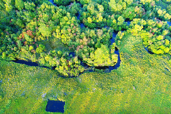 ���˰����＾����СϪ