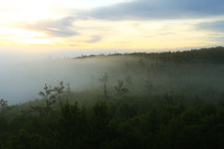 ���˰���ˮī��һ���ɽ���ƺ�