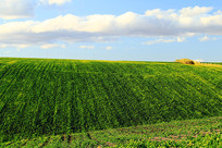 ��������ũ�ﾰ��