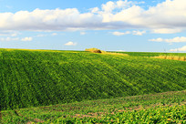 ����ƽԭ������԰���