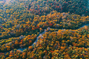 ���Ĳ��ֺ���