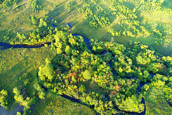 ���Ĵ���СϪ��ɫ