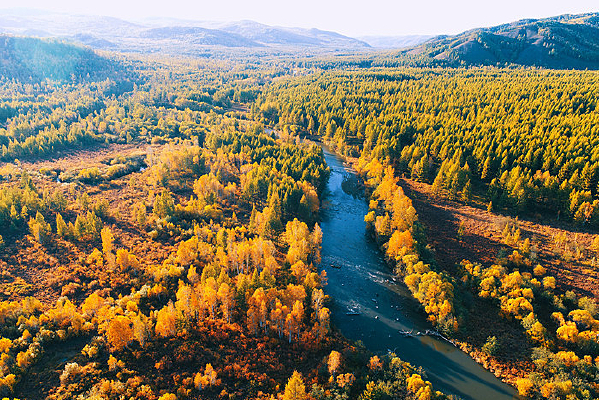 �����＾�ֺ���ɫ�ĺ���