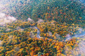 �����������ֺ���