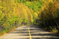 ������ֹ�·�羰