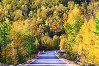 �＾ɽ�ֹ�·�羰