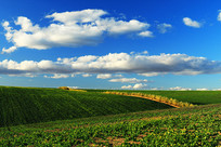 ��������ũ��