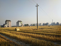 ���մ���������