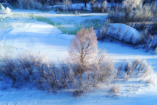 ���ı�����ľ��ڡ