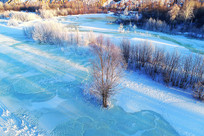 ��������ѩ��