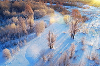 �������� �еı��Ӵ���