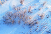 ����ѩ����ֳ���