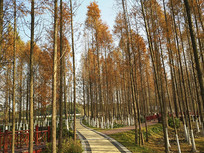 ����ˮɼ��