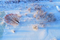 ѩ�����������ֳ���