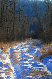 ���˰���ѩԭ���ɽ·