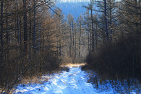 ���˰���ѩԭ���ɽ·ѩ��