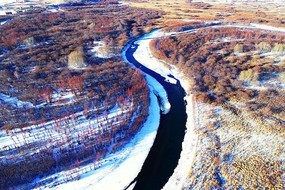 ����ѩ����Ӿ���