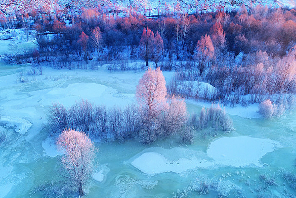 ѩ��������������