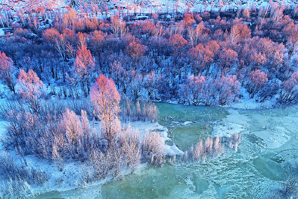 ѩ��������ֺ�����