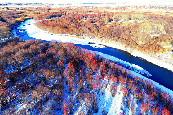 ԭҰ���ֱ����������