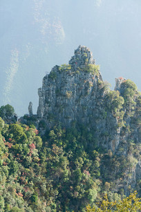 ������ɽ��Ů�嶸�͵�ɽ��