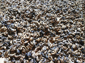 ������д