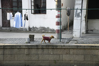 �Ϻ����������������