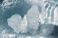 ����ѩ�ر���