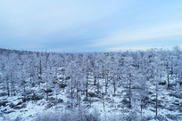 ���˰��붬��ѩ����