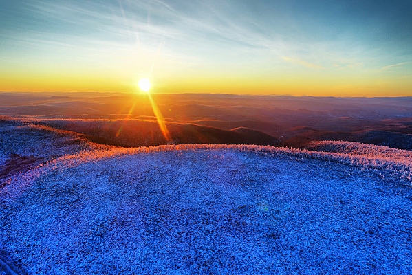 ���˰��붬��ԭʼɭ���ճ�