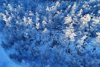 ����ѩԭ���� 