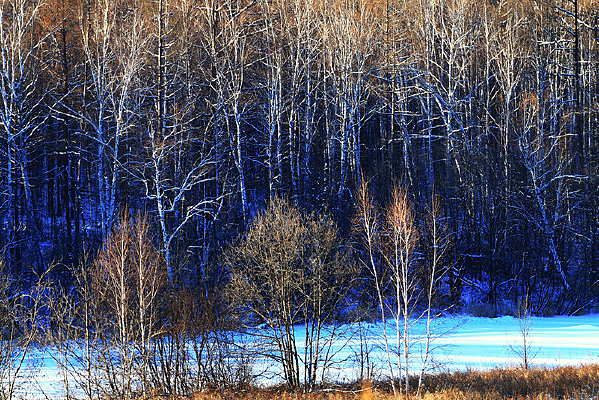 �ֺ�ѩԭ����