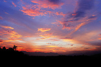 ��������ϼ