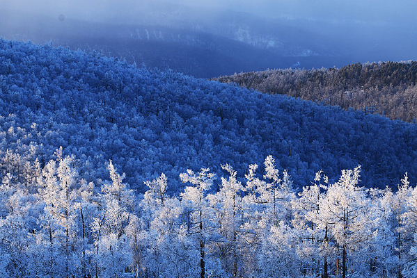 �ֺ�ѩԭ��ڡ