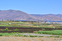 �����԰�羰