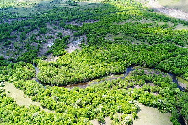 ������ɫ���ֺ��� 