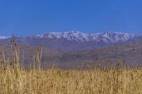 ��³�˺�ѩɽ���