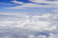 ��������Ʋ�