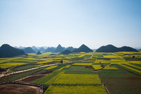 ��ƽ�Ͳ˻���  