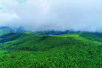 ��ɫ���ֳ���