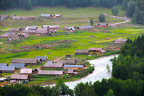 �������½�����ľľ����ӰͼƬ