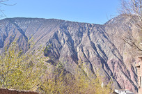 ������ľ�羰