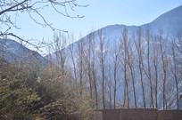 ��ɽ��ľ�羰