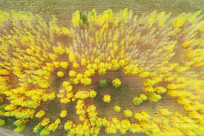 ���Ľ��������ɫ 