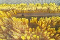 ���Ľ��������ɫ 