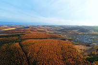 ���Ľ���ũ��ũ��