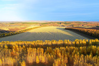 ����ũ����Ұ