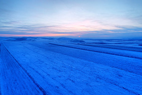 ѩ��ũ�������ѩ��ĺɫ