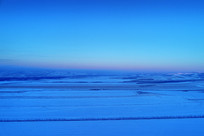 ѩ����Ұĺɫ