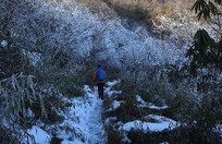 ������������ߵ�ɽ·ѩ��